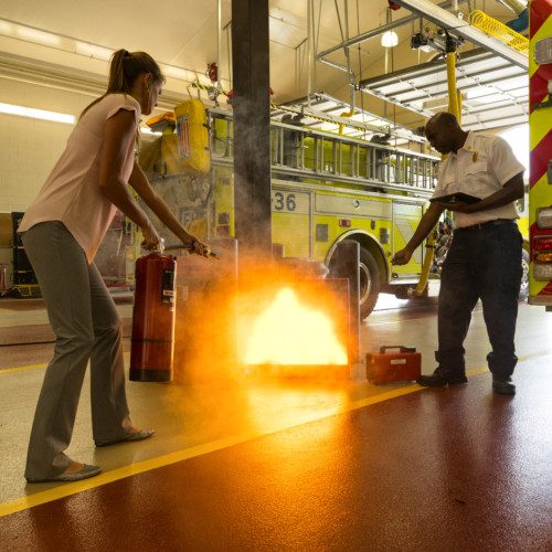 Lion | BullsEye™ Digital Fire Extinguisher Training System - Dinges Fire Company