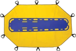 EMS Transfers