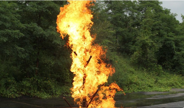 LION Pipe and Valve Training Prop | Dinges Fire Company