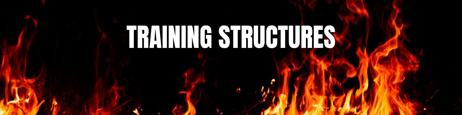 Training Structures LION Training Structures | Dinges Fire Company