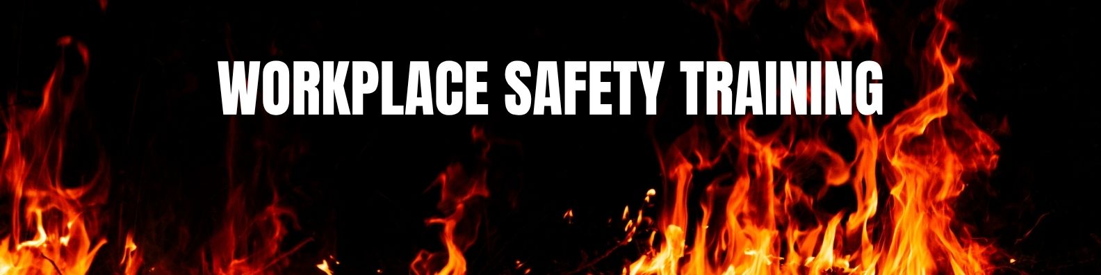 Workplace Safety Training LION Workplace Safety Training | Dinges Fire Company